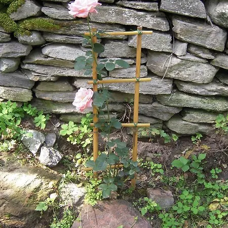 I Picchi Affittacamere 3*